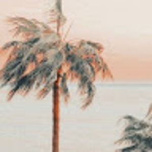 Meet your Posher, Quinn